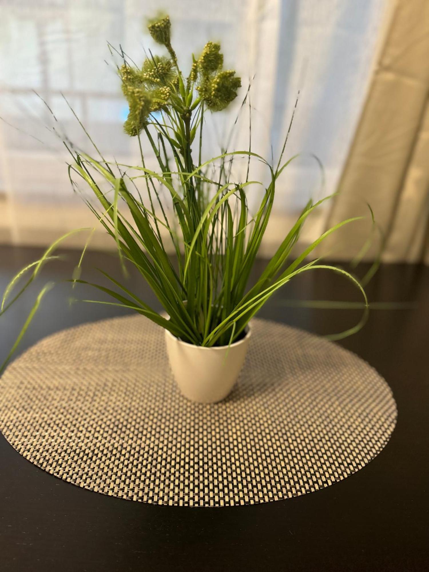 M&Bluxux Apartaments Krefeld Esterno foto